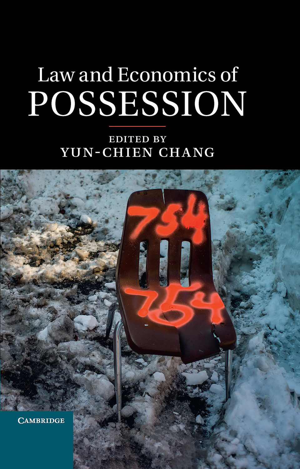 Law and Economics of Possession